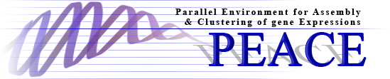 peace_welcome_header.png